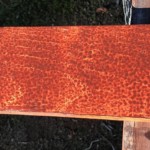 Leopard spots from the roller will dry like that