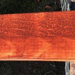 Comparison of roller vs brush