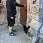 Castle kitty, Poppet