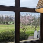 View out of the one-shot room