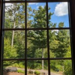 vertical window view of a forested garden area