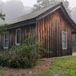 Misty forest mini cabin