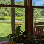 Inside view of a deer passing by a manicured garden area
