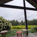 Picturesque view of a rainy day on an exterior rustic porch