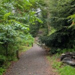Pathway off the word rock garden that loops to the Granary, Art Coop, and Farm House Forested pathway