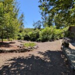The "word" rock garden out back of the "barn" Forest surrounded rock garden